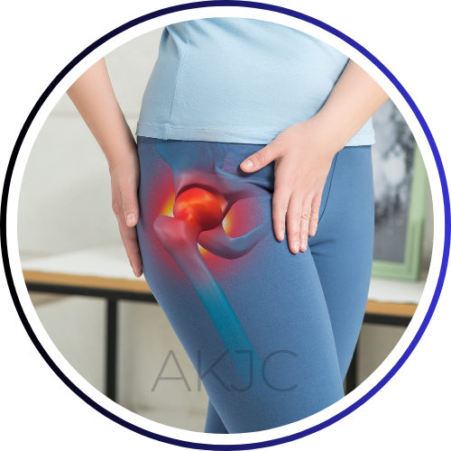 Hip Joint
