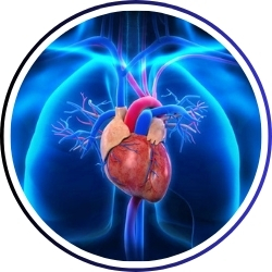 Cardiologist (हृदय रोग )