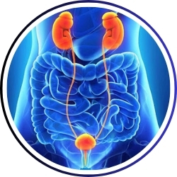 Urosurgeon (यूरोसर्जन)