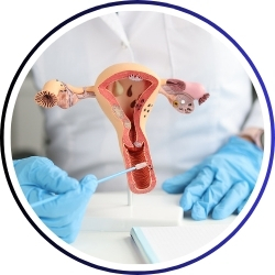 gynaecologist (स्त्री रोग)