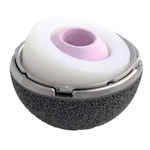 Khandelwal-Ceramic-hip-replacement